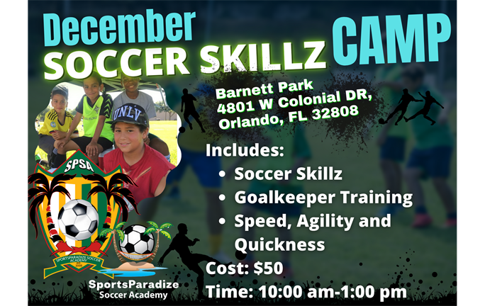 Winter Soccer Skillz Camp!